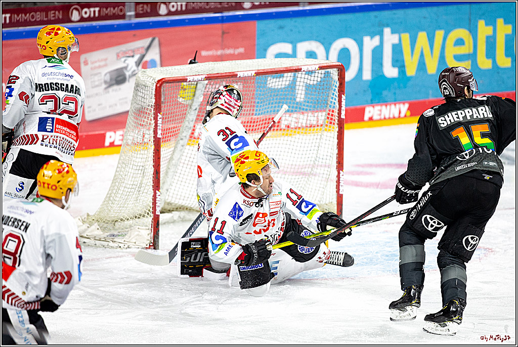PENNY DEL;  Koelner Haie - Fischtown Pinguins Bremerhaven; Koeln, 17.01.2021